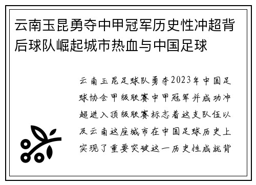 云南玉昆勇夺中甲冠军历史性冲超背后球队崛起城市热血与中国足球